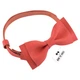 Бабочка Bow Tie House кожаная Coral 10369 - изображение 2