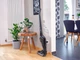 Акумуляторний пилосос Leifheit Rotato PowerVac 20В (11928) - зображення 5