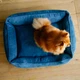 Лежак для собак Harley and Cho Dreamer Denim Velvet с бортами 120 х 80 x 18 см Blue (3010062) - изображение 5