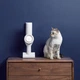 Аккумуляторный пылесос XIAOMI Dreame Tracking Wireless Vacuum Cleaner V9 - изображение 6