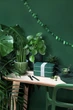 Ланчбокс Monbento Original made in France jungle (1000 02 430) - зображення 5