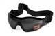 Защитные очки с уплотнителем Global Vision Z-33 (gray) - изображение 1