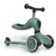 Самокат Scoot&Ride Highwaykick-1 Серо-зеленый (SR-160629-FOREST) - изображение 1