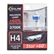 Галогеновая лампа Solar H4 12V 60/55W P43t-38 Starlight +60% (1234S2) - изображение 1