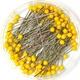 Булавки портновские Prym 028485 c пластиковыми головками желтые - изображение 1