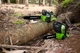 Аккумуляторная цепная пила Greenworks G40CS30 (20117) - изображение 9