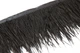 Пір'я страуса на стрічці KV Feathers 10-15 см, чорний, 1 м PS014 - зображення 2