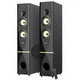 Акустическая система F&D T-88X Black - изображение 1