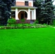 Смесь семян газонных трав RASENLUX Скандинавский газон SCANDINAVIAN LAWN, 2 кг - изображение 2