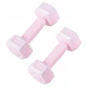 Набор гантелей Springos Hex 2 x 0.5 кг FA1029 (1647671868) - изображение 1
