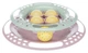 Іграшка для кішок Trixie Junior Kitten Трек з кульками ø 24 см пластик (TX-41340) - зображення 1