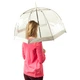 Парасолька жіноча Fulton Birdcage-1 L041 White Білий (L041-015582) - зображення 3