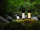 Latarka LedLenser ML4 Warm Light (4058205022125) - obraz 5