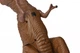 Динозавр Same Toy Dinosaur Planet Тиранозавр коричневый (свет, звук) RS6123AUt - изображение 7