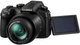 Фотоаппарат Panasonic Lumix FZ10002EE (DC-FZ10002EE) - изображение 9