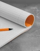 Блокнот Rhodia legal pad 119 А4+ в лінію помаранчевий - изображение 4