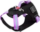 Шлея для собак безпечна Collar WAUDOG Nylon з QR паспортом, металічна пряжка-фастекс, L, Ш 25 мм, А 55-85 см, В 65-85 см (52509) - зображення 1