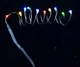 Електрогірлянда LED-нитка, 10 ламп, багатобарвна, 0,55 м Yes! Fun (801099) - зображення 2