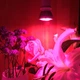 Фитолампа GreenHouse GR-28 с светильником-прищепка - изображение 2