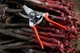 Секатор Felco 14 обводной - изображение 2