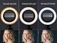 Лампа кольцевая Veron LED Ring Fill Light A390 39 см с держателем для телефона и пультом (on311358653) - изображение 2