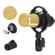 Студийный конденсаторный микрофон Soncm D.J. M-800 Black/Gold (SM-800BG) - зображення 3