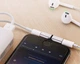 Адаптер для одновременной зарядки и музыки Audio Charge Adapter 2 в 1 для iPhone XR XS X 8 7 Silver - изображение 1