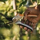 Площинний секатор суцільнометалевий Fiskars Plus P531 (1057168) - зображення 2