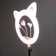 Лампа для съемки напольная кольцевая с штатив-треногой Cat Ring Light RK-45 - изображение 7