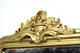 Картина на зеркале SEAPS Gold Lion 69х109 см (2211878383) - изображение 8