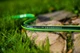 Шланг садовий Cellfast Green ATS2 для поливу діаметр 5/8 дюйма, довжина 25 м (GR 5/8 25) - зображення 3