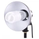 Постоянный свет Visico FL-15 (30W) - изображение 1