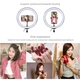 Кільцевий світло Puluz PU397 Ring Light 26см (20W) - зображення 5