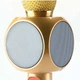 Микрофон караоке с Bluetooth, USB, 4 колонками и цветомузыкой WSTER WS-1816 (gold) Original - изображение 4