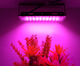 Мощный Фито прожектор полного спектра для растений и рассады 100Вт 96LED 240*125 мм (с проводом и выключателем) - изображение 4
