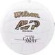 Мяч для волейбола Wilson CASTAWAY(WTH4615XDEF) 5 - изображение 3