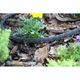 Сочится шланг Bradas AQUA-DROP 1/2" – 20м, WAD1/2020 - изображение 5