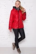 Куртка Miorichi Мишель 60 Красный (01027-red60) - изображение 5