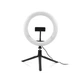 Держатель Lesko Y-100 Tripod кольцевая лампа 26 см с треногой светодиодная (F_4636-14434) - изображение 1