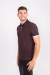 Футболка поло мужская TvoePolo однотонное XXL Коричневое (5718-18xxl) - изображение 3