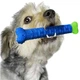 Зубна щітка для собак не містить фталатів Сhewbrush Dog Dummy Bone Blue/Green - зображення 1