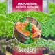 Семена Микрозелень Капуста Кольраби Florium (718070) - изображение 2