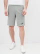 Шорты хлопковые мужские Puma Ess Shorts 58670903 S Medium Gray Heather (4063697313262) - изображение 1