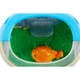 Веселый аквариум Фишер-Прайс Fisher-Price Laugh and Learn Magical Lights Fishbowl - изображение 6