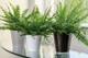 Горшок для цветов Form-Plastic Diament мини-13 1,1 л белый (3720-011) - изображение 3