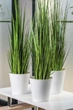 Горшок для цветов Form-Plastic Diament мини-13 1,1 л белый (3720-011) - изображение 7