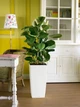 Умный горшок Lechuza Cubico Color 40 квадратный 31л 39,5 x 75,5 см Белый - изображение 3