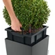 Умный горшок Lechuza Cubico Premium 40 квадратный 31л 39,5 x 75,5 см Антрацит - изображение 5