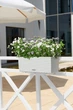 Умный горшок Lechuza Balconera Cottage 50 прямоугольный 8 л 19 x 50 x 19 см Светло-серый - изображение 4