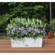 Умный горшок Lechuza Balconera Cottage 50 прямоугольный 8 л 19 x 50 x 19 см Белый - изображение 6
